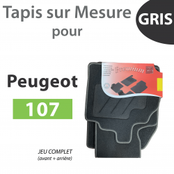 Tapis sur Mesure pour...